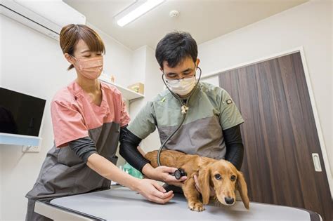 小松動物病院 秋田で大切な家族を守る