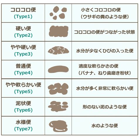 小狗吐吐吐不停！養狗必知嘔吐百科：種類、原因、治療與預防