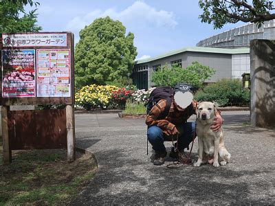 小田原フラワーガーデンで愛犬と一緒に楽しむための完全ガイド