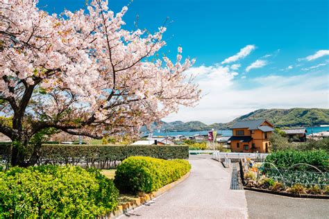 小豆島でペットと泊まれる宿を探すなら！おすすめホテル＆旅館徹底ガイド！