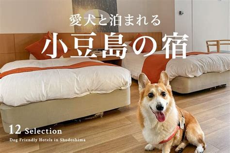 小豆島でペットと泊まれる宿：愛犬と過ごす素敵な旅