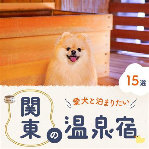 小豆島で愛犬とともに泊まれるホテルで至福の滞在を！