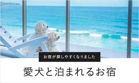 小豆島で愛犬と泊まれるホテル犬を厳選！わんちゃんと快適に過ごす島旅へ