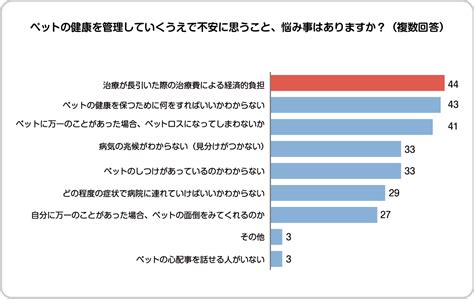 小豆島動物病院でペットの健康管理に最適なケアを見つけよう