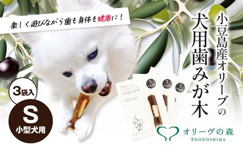 小豆島犬の特徴