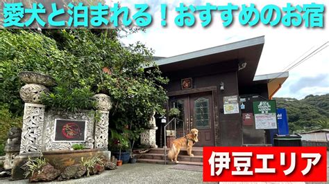 小豆島 犬と泊まれるおすすめ宿を徹底ガイド