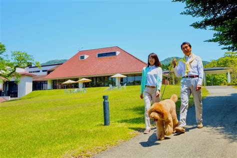 小野川温泉で愛犬と過ごすペットフレンドリーな旅