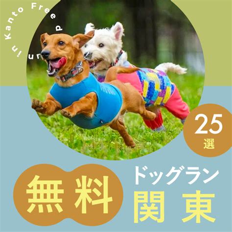 尼崎でおすすめのドッグラン10選：犬と楽しく安全に過ごすためのガイド