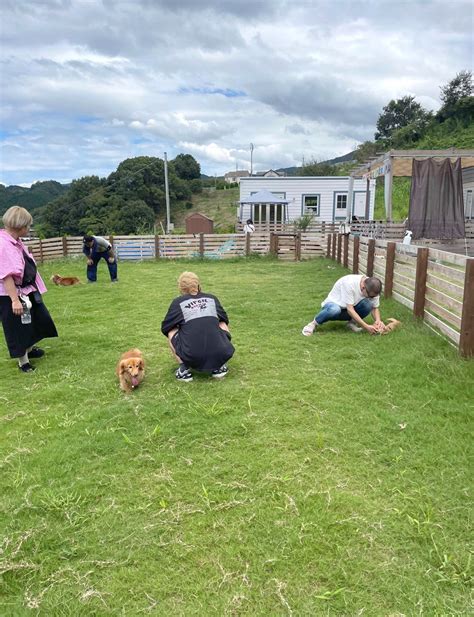 尼崎市のドッグラン徹底ガイド：犬と楽しく安全に過ごすための必携情報