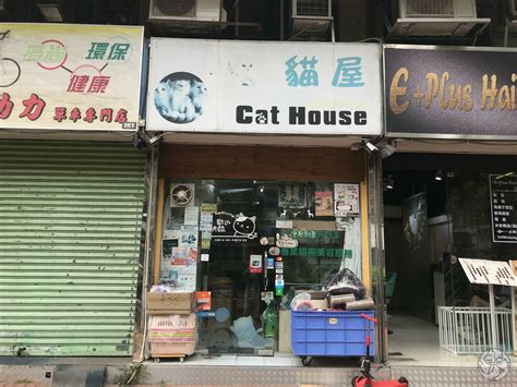 屯門寵物店市場概況