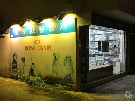 屯門寵物店：愛寵之家的飼養指南