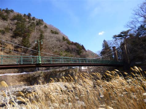 山ゆりの吊橋：絶景とスリルを満喫する必見スポット