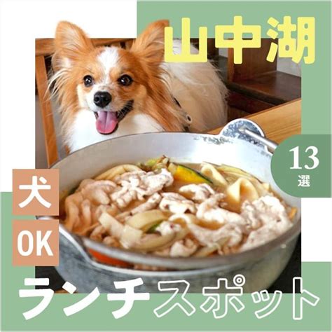 山中湖で愛犬と楽しめる！人気ドッグカフェ徹底ガイド