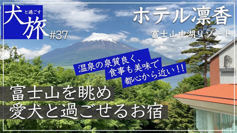 山中湖で愛犬と過ごす、快適で安心なひととき：ペットホテル徹底ガイド