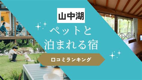 山中湖ペットホテルで愛犬と快適な滞在を：安心と利便性を追求したサービス