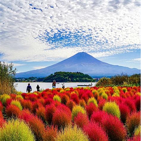 山中湖花都公園簡介