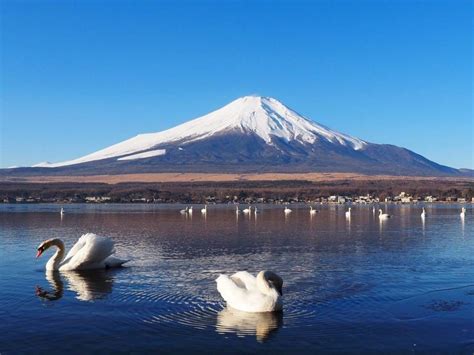 山中湖：日本最具標誌性的湖泊之一