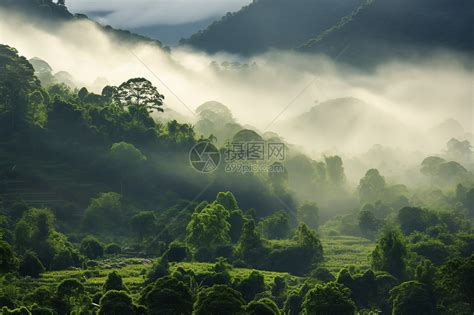 山林的益處