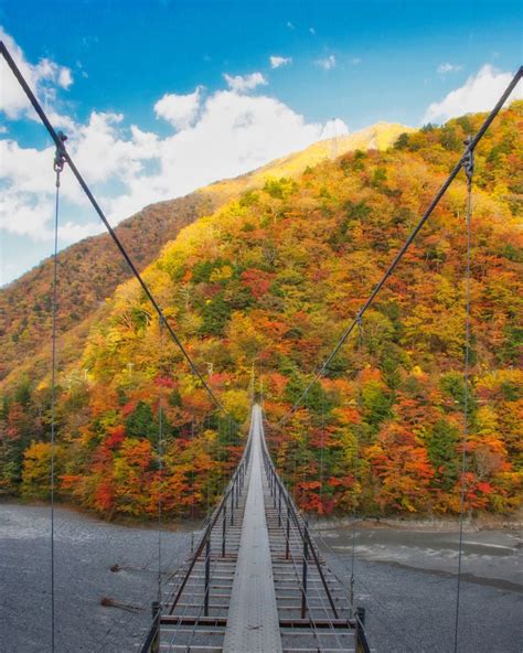 山 ゆり の 吊橋