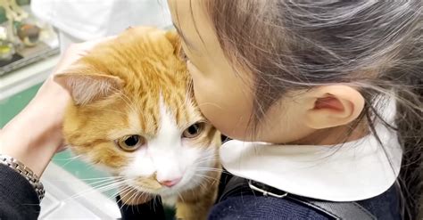 岐阜で愛犬・愛猫に寄り添う「ベル動物病院」で安心のペットライフを！