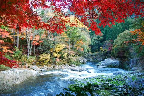 岡山県屈指の絶景スポット