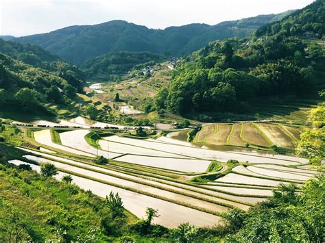 岡山県美咲町にある、自然の中で憩える「フォレストリア用瀬」徹底ガイド