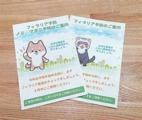 岩井動物病院でペットの健康を守ろう！