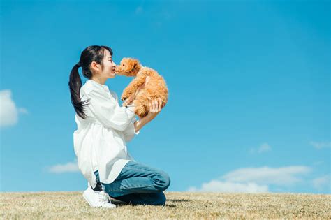 崖っぷち犬を救うことは、愛犬との絆を深める絶好の機会です。