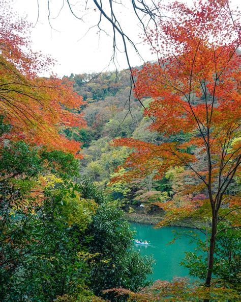 嵐山・源録山町で過ごす週末