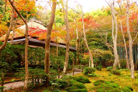 嵐山・祇王寺散策：紅葉絶景と竹林の風情を楽しむ