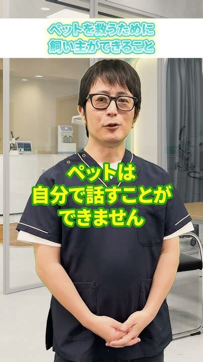 市ヶ谷動物病院で最愛のペットの健康をサポート