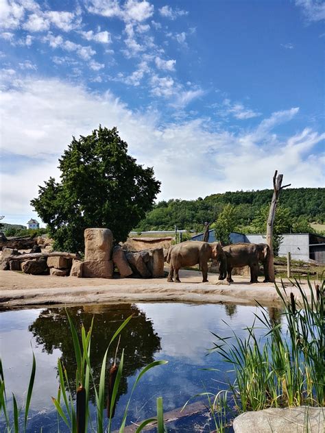 布拉格動物園：動物王國的185年傳奇