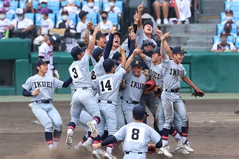 希威特甲子園