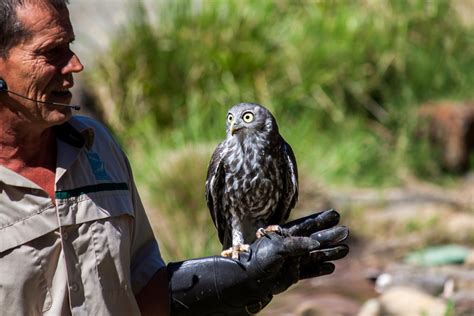 希爾斯維爾野生動物保護區