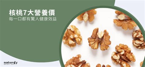 帶子營養：了解它的驚人健康益處！