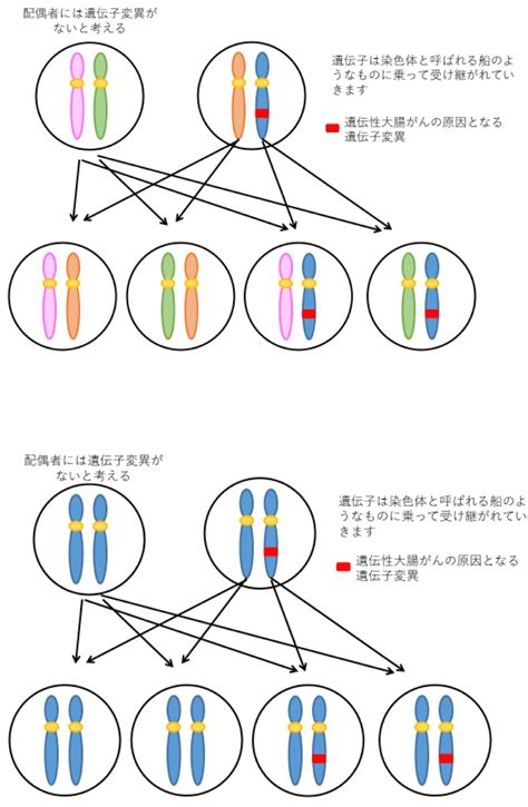 常染色体優性遺伝