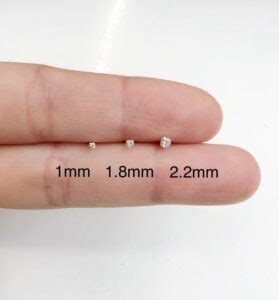 平均的なマイクロチップのサイズは、約2mm x 2mm x 0.1mmです。