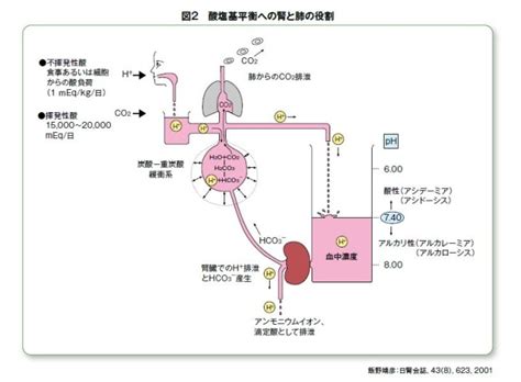 平衡の維持