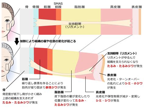 年齢と老化の兆候