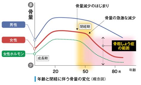 年齢によるポイント