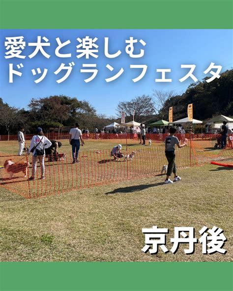 広大なドッグランで愛犬を思いっきり遊ばせよう