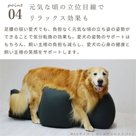 床ずれ防止クッションで愛犬を守ろう！