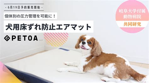 床ずれ防止クッション 犬：あなたの愛犬を快適かつ安全に保つ究極のガイド