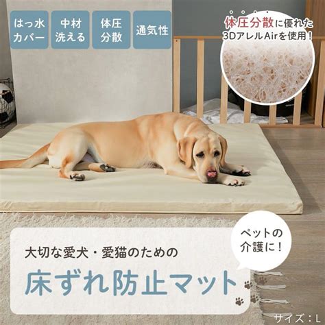 床ずれ防止マットで愛犬の快適な寝床を確保