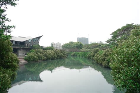 序言：高雄都市中的綠洲