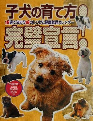 座る犬：しつけと健康管理のガイド