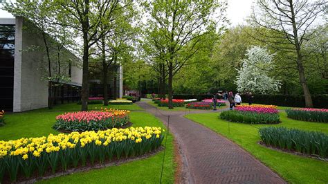 庫肯霍夫花園 (Keukenhof)：