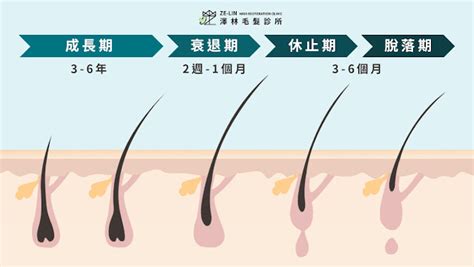 延長毛囊生長期：