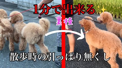 引っ張り癖の現状