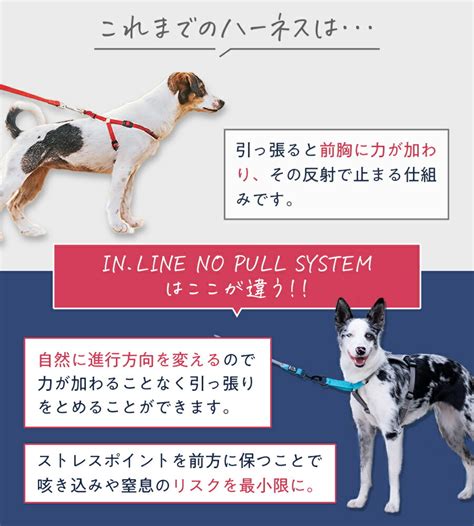 引っ張り癖ハーネスで、愛犬のお散歩を快適に！